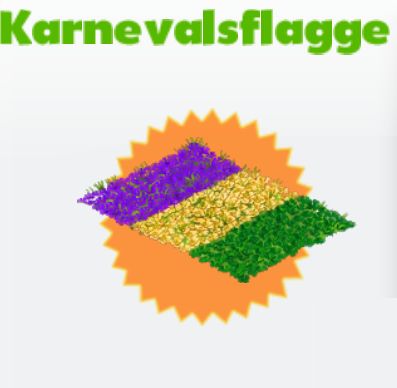 Karnevalsflagge        